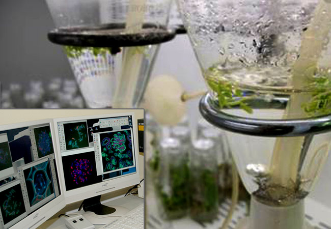 Foto: Campus UTAD Lab.s Ensaios - Genética e Biotecnologia